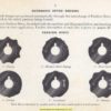Singer 306 Automatic Sewing Machine Instruction Manual