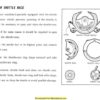 New Home Janome 545 Sewing Machine Instruction Manual
